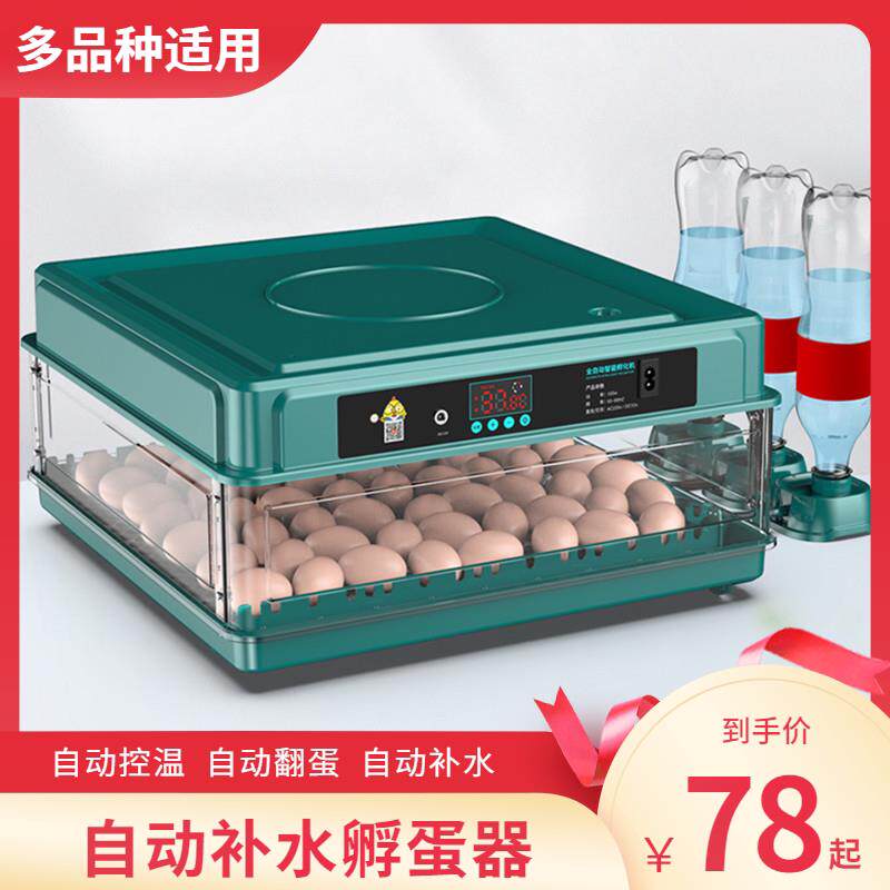 小鸡孵化器小型家用全自动智能芦丁鸡蛋孵化小飞碟虎皮鹦鹉孵蛋器