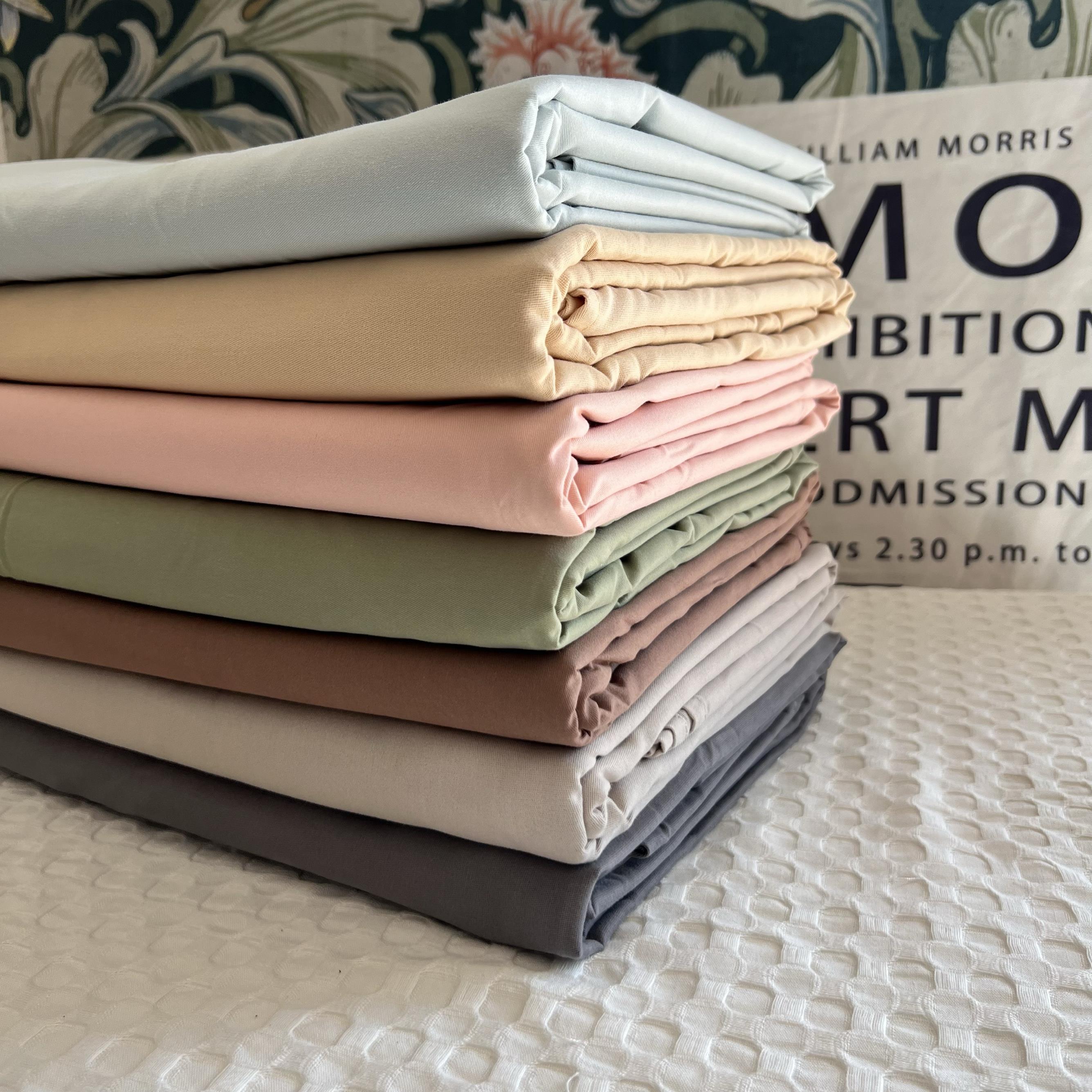 ji致性价比！外贸尾单全棉磨毛床单单件纯棉加厚双人秋冬睡单清仓