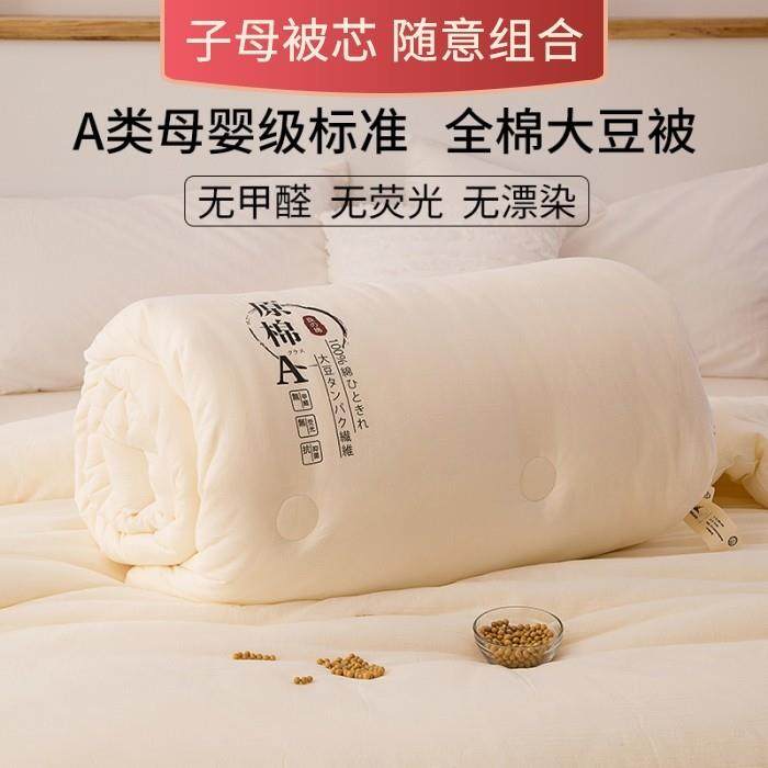 A类原棉大豆被母婴级春秋子母被秋冬被子被芯加厚四季床品夏凉被1,床上用品,化纤被,淘宝优惠券,粉丝福利购,淘宝优惠卷
