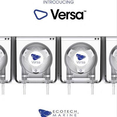 ecotech versa蠕动泵 全系列 滴定泵（新上4头套装）