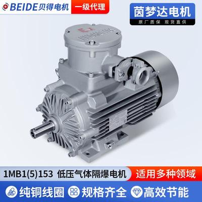 LVM-1MB1/5系列IE3能效低压隔爆电机1MB1153隔爆型三相异步电动机