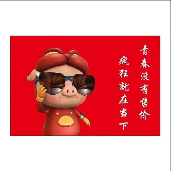 猪猪侠旗帜定做男神GG爆旗定制班旗团旗青春没有售价户外爬山大旗