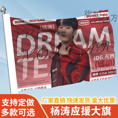 杨涛应援大旗应援旗定制旗帜户外演唱会大旗音乐节大旗明星旗帜