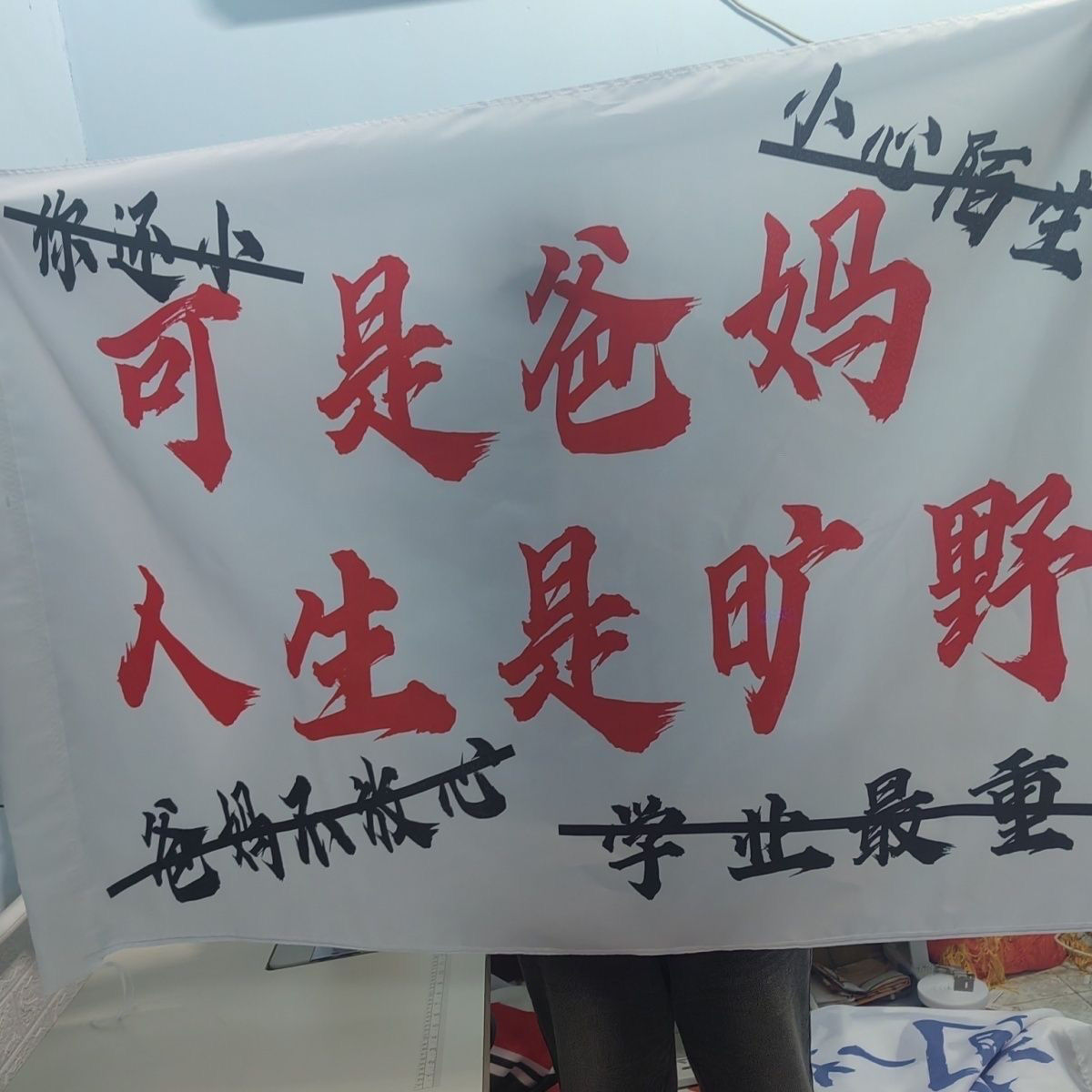 可是爸妈人生是旷野旗帜定做旗帜我不想结婚定制泰山音乐节旗帜