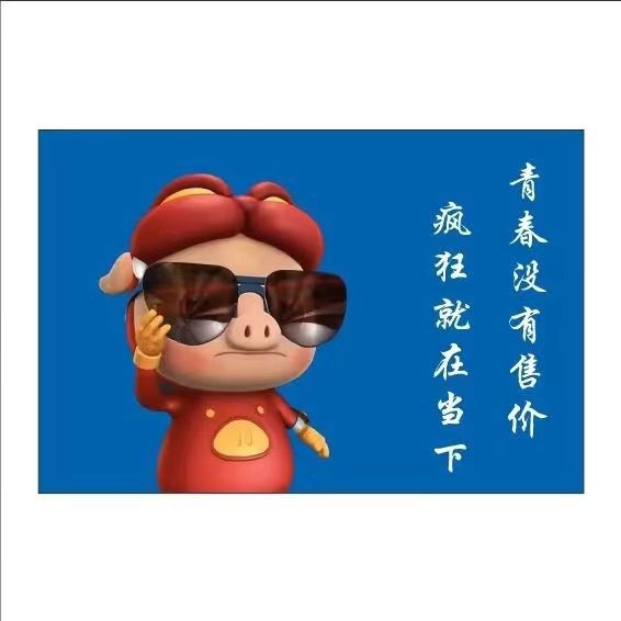 猪猪侠旗帜定做男神GG爆旗定制班旗团旗青春没有售价户外爬山大旗