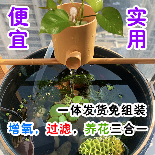 小鱼缸增氧过滤器新手养鱼神器