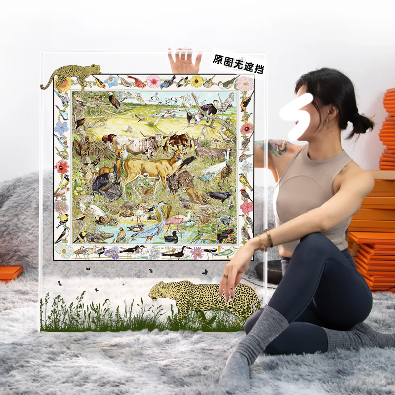 彩色透明亚克力丝巾玄关柜摆件画框动物世界客厅装饰画高级感挂画图片