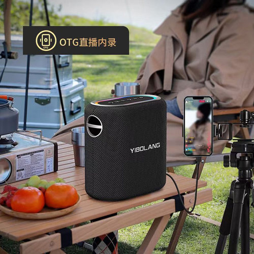 意博朗X96Pro户外蓝牙音响大功率120W家用K歌带声卡音箱带话筒