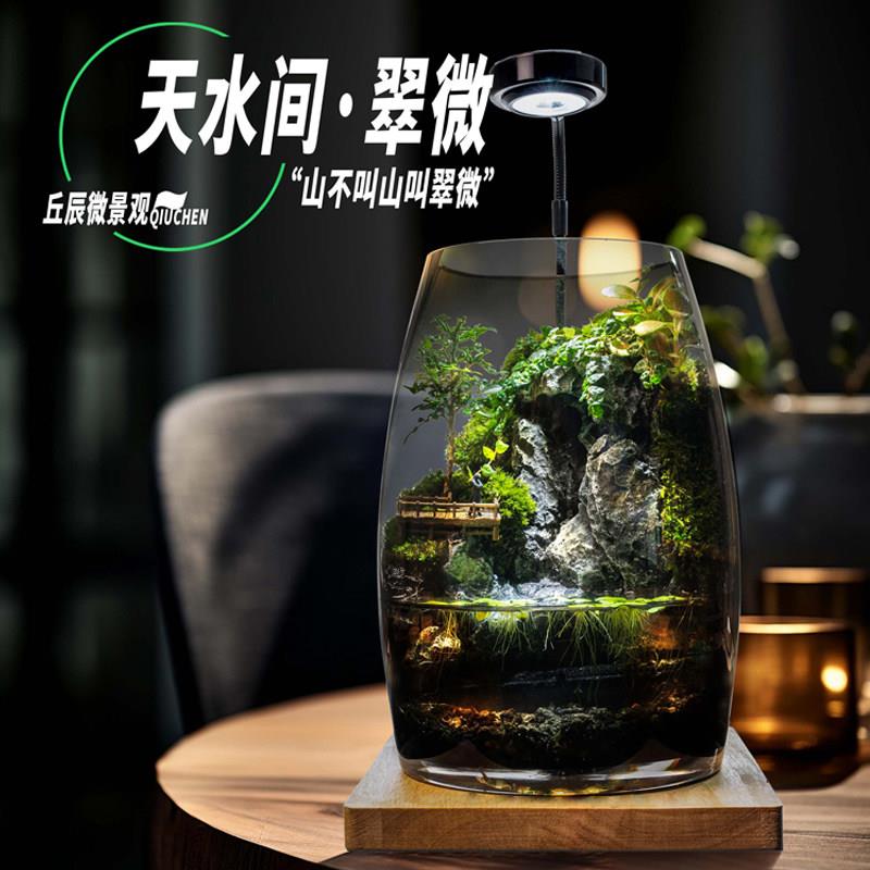 丘辰苔藓微景观养鱼生态瓶办公桌面摆件客厅造景小盆栽生日礼物