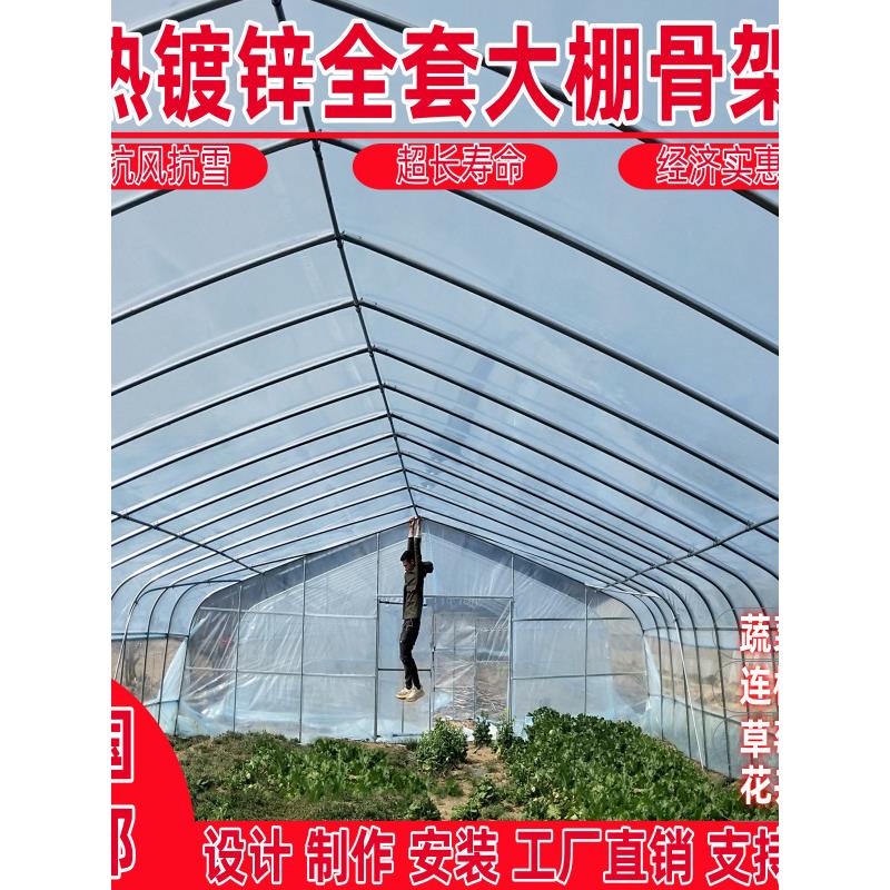 种植大棚蔬菜大棚温室大棚骨架全套连栋定制多肉花卉草莓葡萄大棚