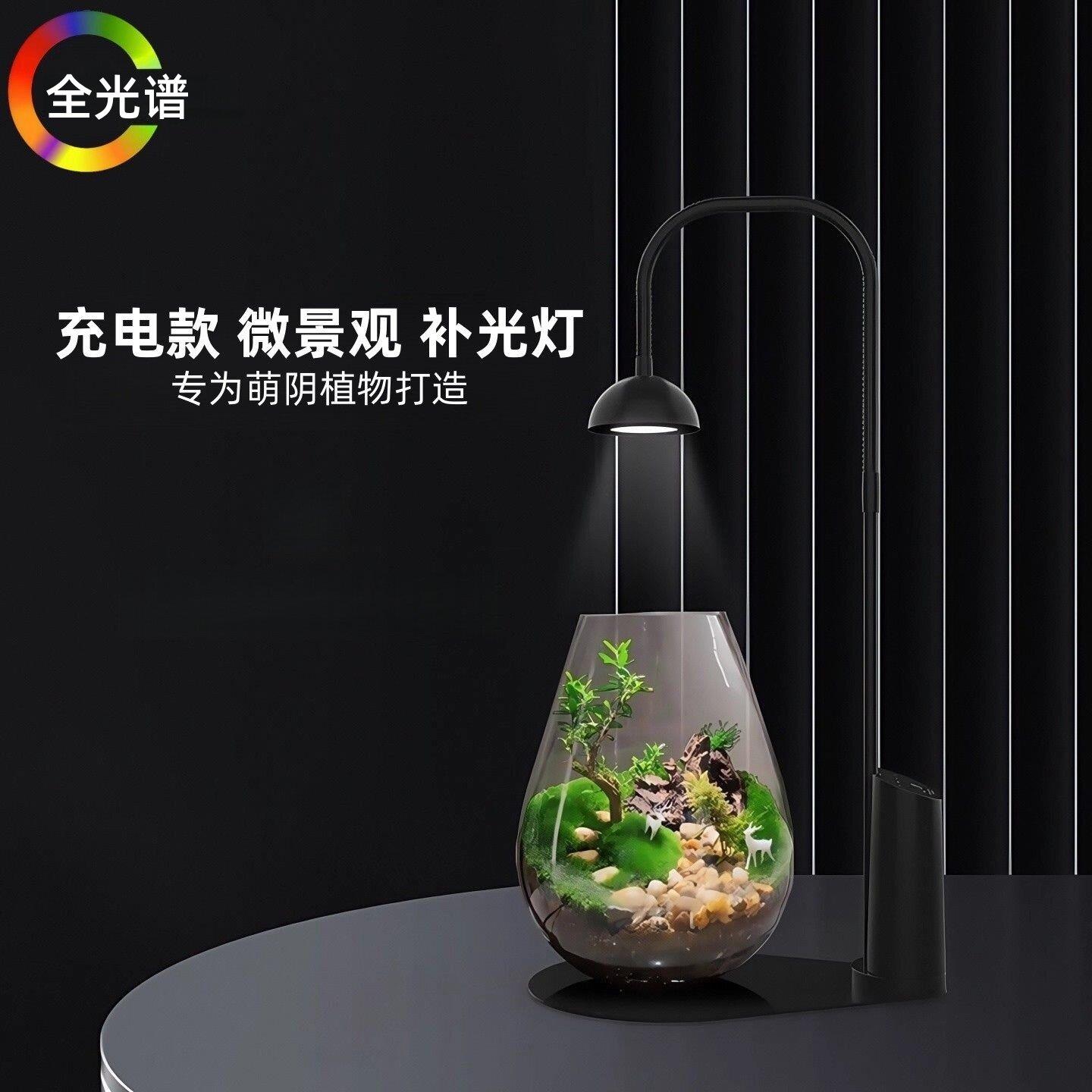 智能定时充电款微景观灯仿太阳光生态瓶苔藓植物灯荫生植物补光灯图片