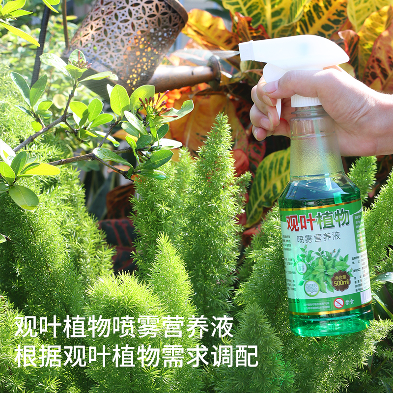 营养液植物通用型花肥发财树富贵竹绿萝水培盆栽家用花卉养花肥料