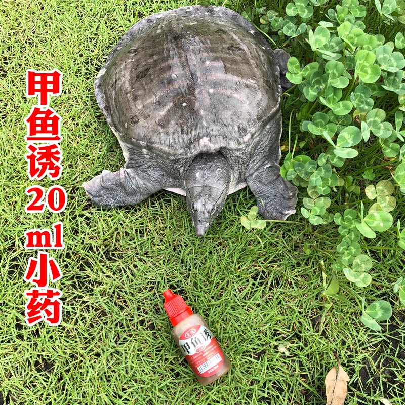甲鱼小药钓甲鱼饵料王八甲鱼钩诱饵小药专用诱野钓超诱老憋药水