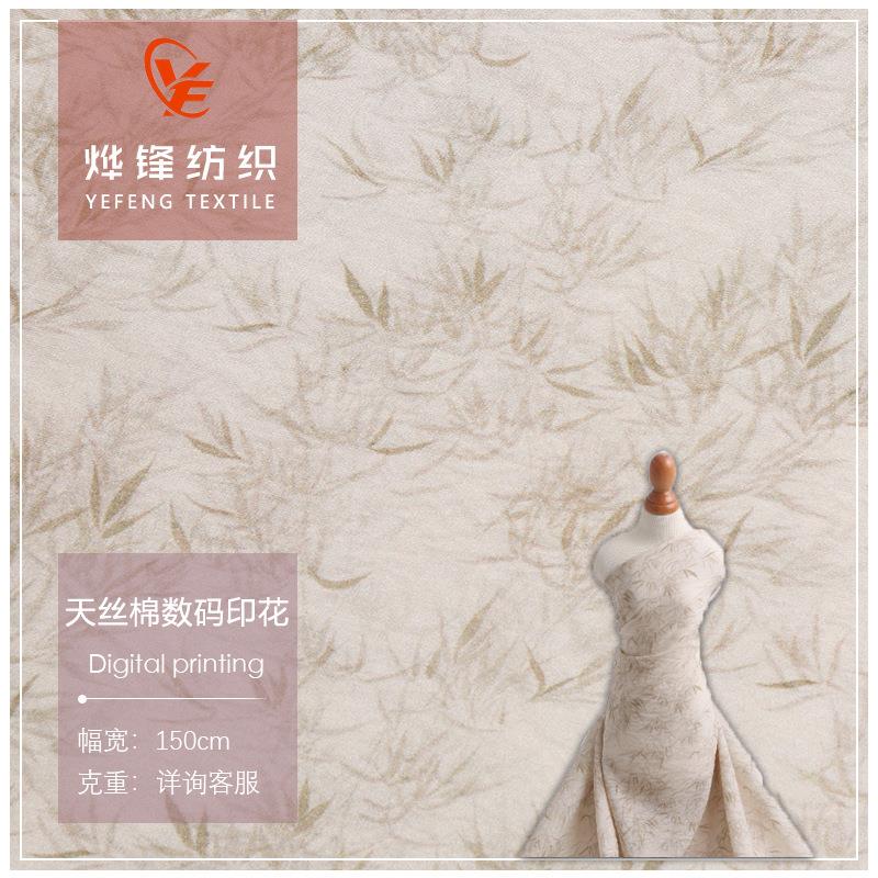 2025新款印花布 天丝棉苎麻数码印花面料 春秋新国风连衣裙面料