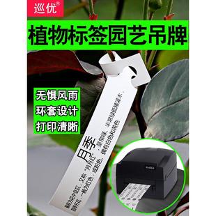 空白可打印园艺标签纸植物吊牌树木挂牌苗木花卉防水标牌塑料标识