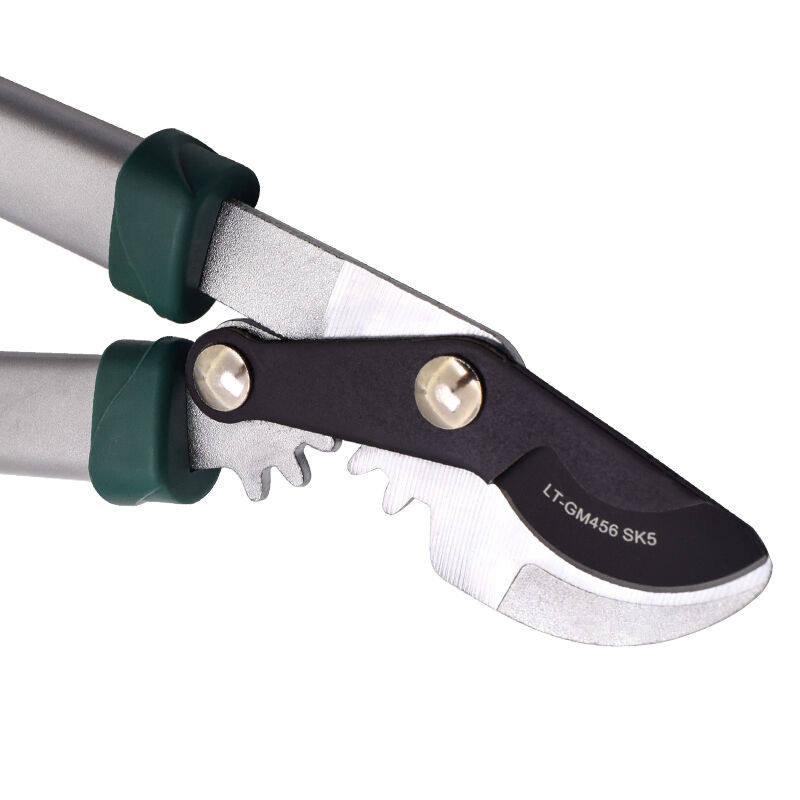 勒塔(LETA)SK5钢粗枝剪修枝剪园林剪小力士整枝剪省力果树修剪刀