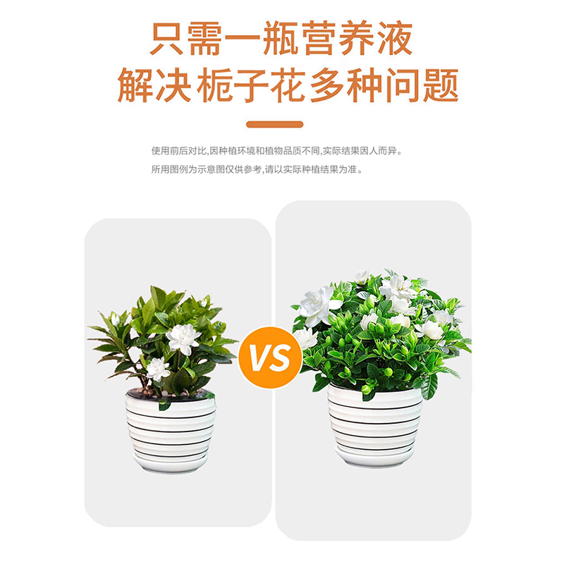 免稀释栀子花肥料专用肥营养液水培家用养花植物盆栽通用酸性花肥