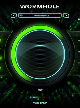 Zynaptiq WORMHOLE音频塑形移调伸缩器混音插件VST AAX Win