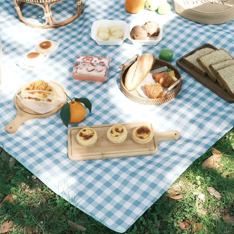 .Outdoor Thicken Pad Blanket Camping Beach Plaid Picnic Mat