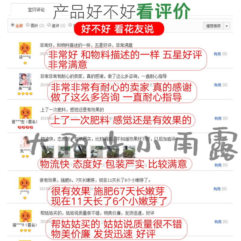 富贵竹专用营养液花草盆栽水培绿萝多肉发财树富贵竹专用花卉肥料