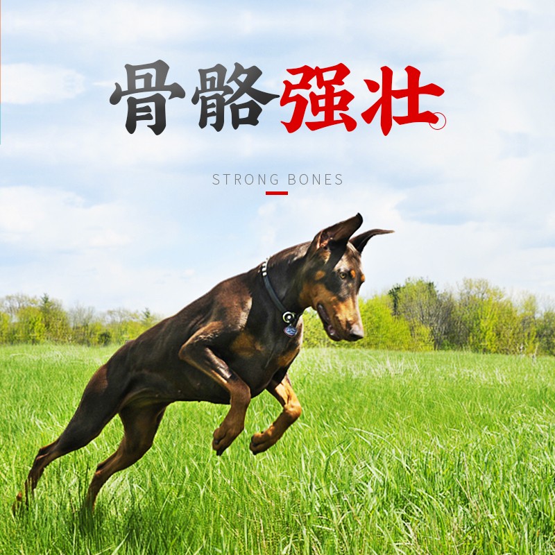 皇仕狗食20e斤装金毛边牧法斗柯基萨摩耶中型大型犬成犬通用型10k