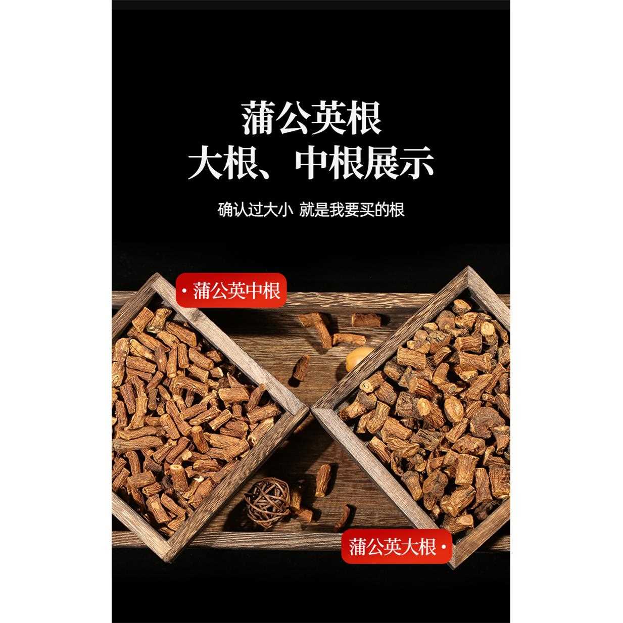 蒲公英茶炒熟纯根茶长白山蒲公英散结茶500g婆婆丁茶泡水中