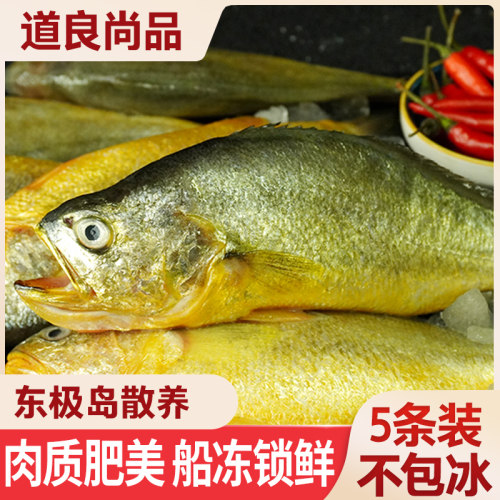 道良尚品东极岛半野生大黄鱼