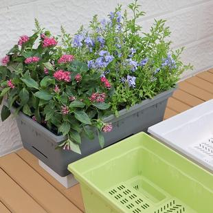 颜值花盆家用阳台种菜盆蔬菜种植箱特大方形塑料种植盒种花园艺