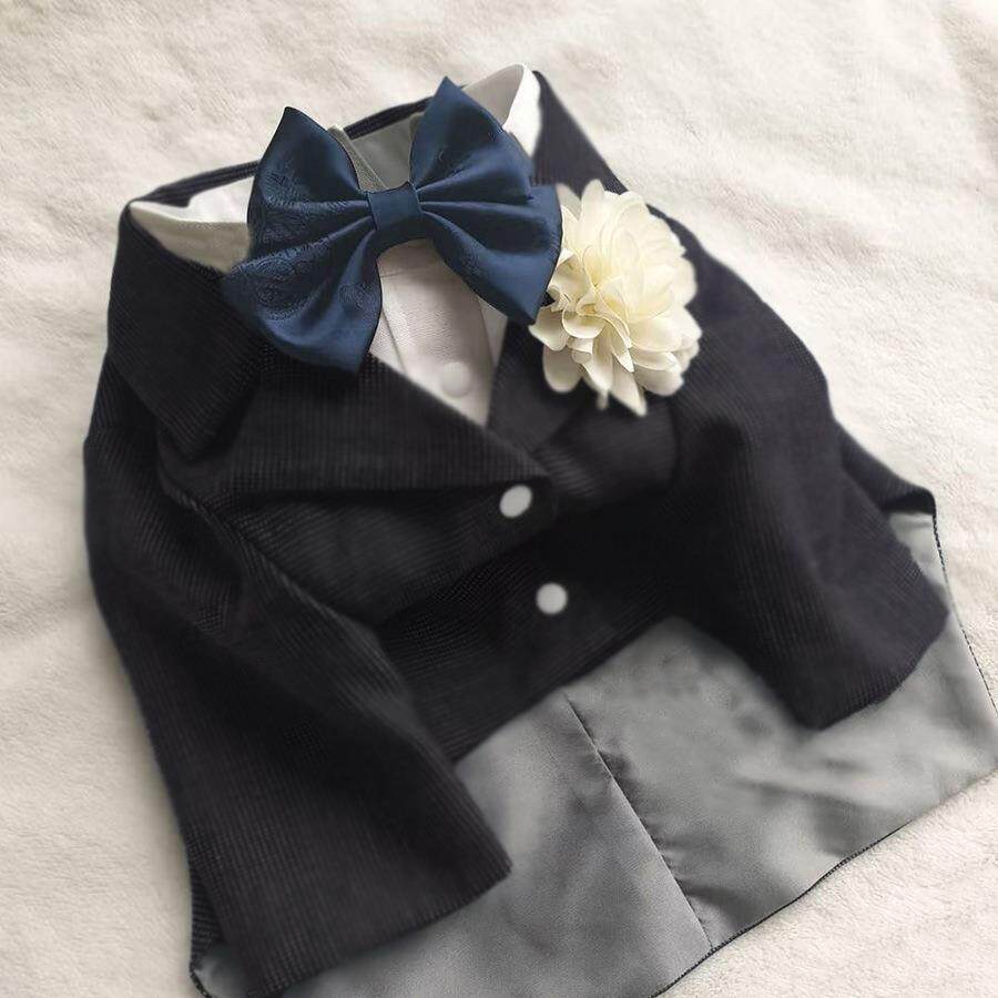 春秋款夏季狗狗猫咪宠物衣服帅气约克夏马尔济斯小型犬夏款西装