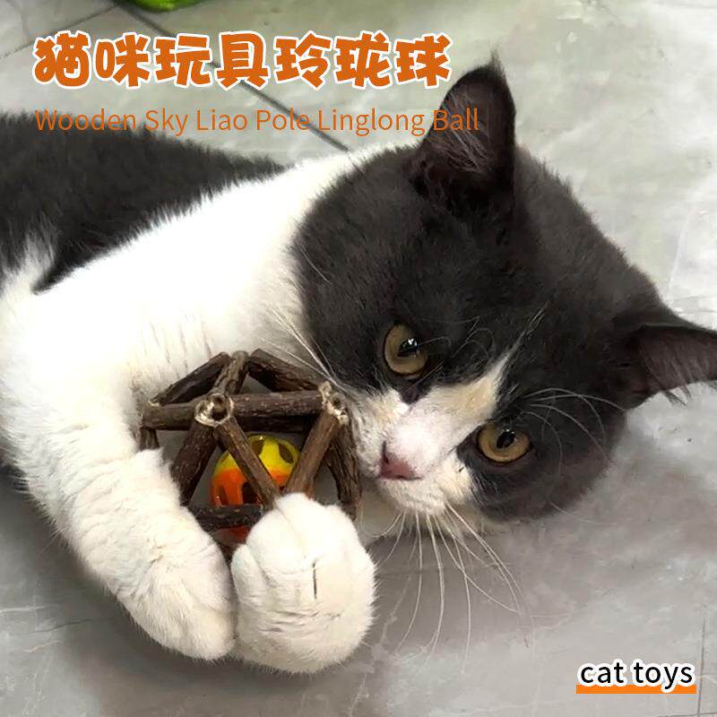 猫玩具木天蓼猫薄荷球磨牙玲珑球猫咪玩具球铃铛洁齿