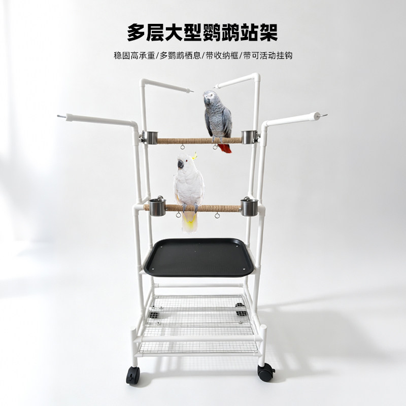 多只大型鹦鹉栖息站架图片