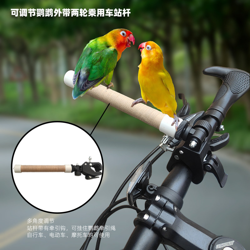 玄凤牡丹和尚鹦鹉外带兜风单车摩托车电动车多角度调节夹具站杆