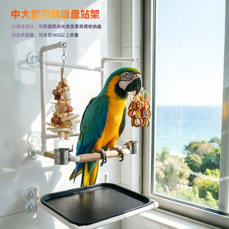 多功能锅中大型鹦鹉用吸盘站架图片