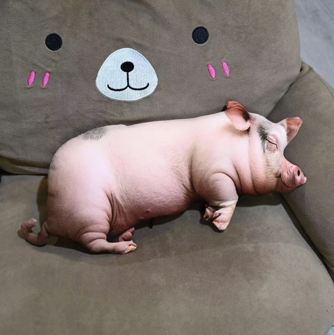 仿真猪猪抱枕送闺蜜枕头抽象公仔娃娃