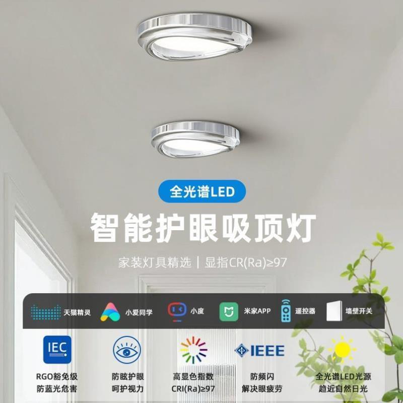 现代简约大气高级感卧室房间吸顶灯主灯全光谱护眼走廊过道吸顶灯