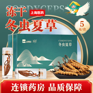 慧远天宝冻干冬虫夏草5g/盒上海医药