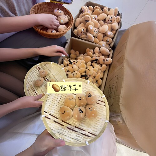 【小洋芋王国】贵州洋芋玩偶民族风diy旅途小物件收藏纪念装饰品