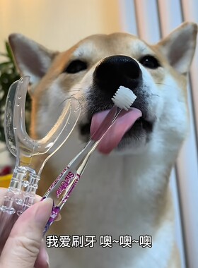 狗狗刷牙扩嘴器除牙垢防口臭