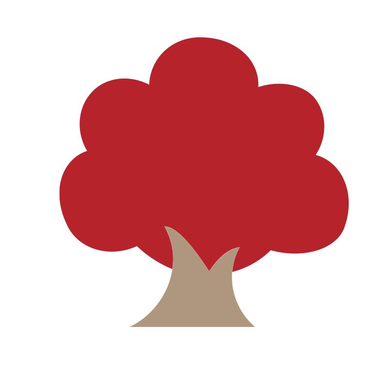 毛毡墙贴员工风采展示板创意照片办公司室面装饰企业文化氛围布置