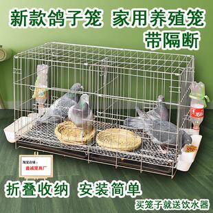 鸽子笼家用元宝鸽笼大号特大新型折叠养殖专用组装家养新款鸽子笼