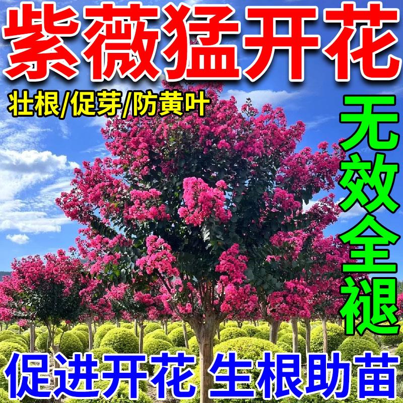 紫薇树专用肥爆花绿叶百日红满堂红老桩盆景植物花卉通用型营养液