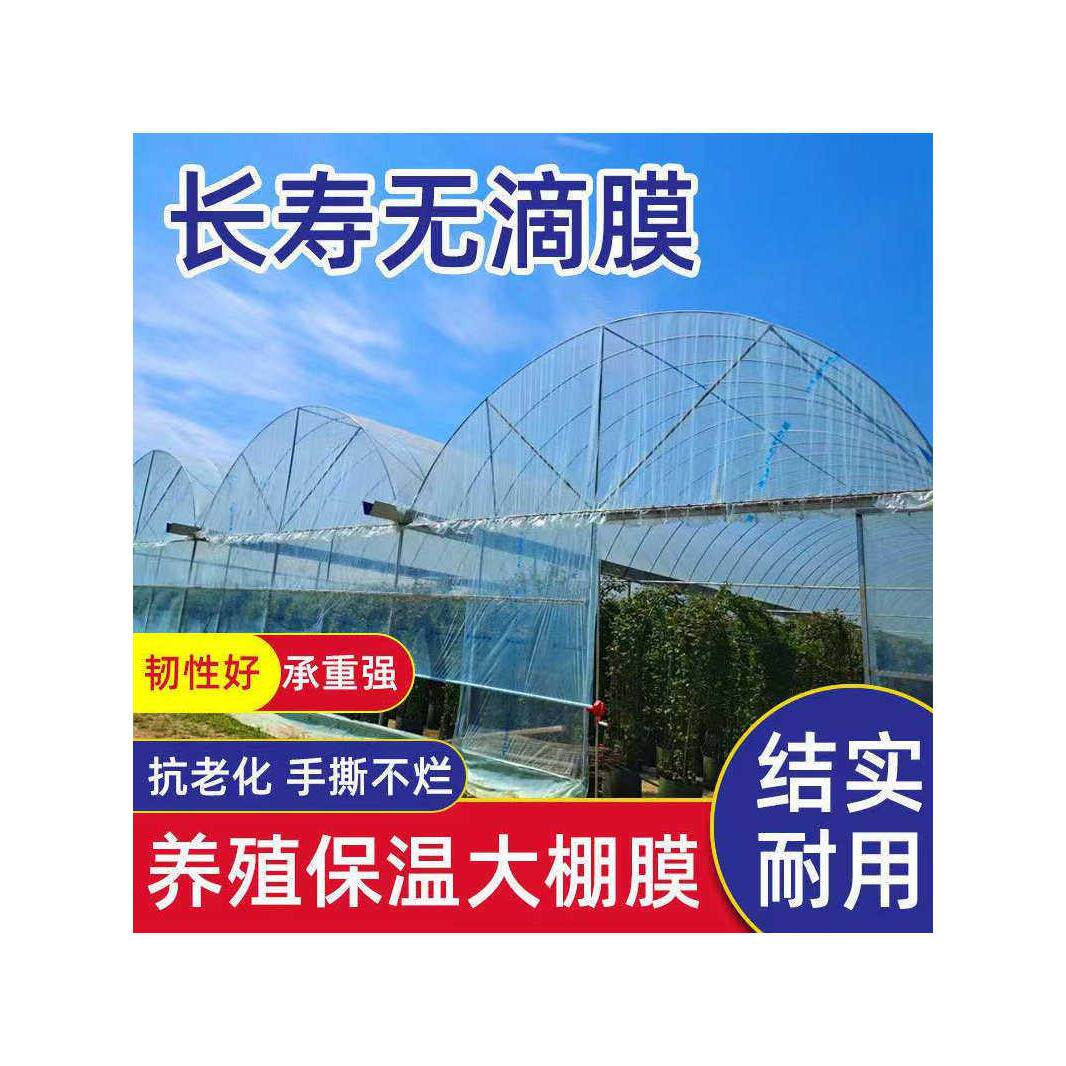 抗老化无滴膜整卷进口大棚塑料膜保温农用薄膜蔬菜瓜果葡萄草莓膜