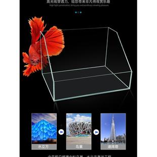 水陆两栖缸超白鱼缸植物造景缸微景观斜口造景缸乌龟生态缸雨林缸