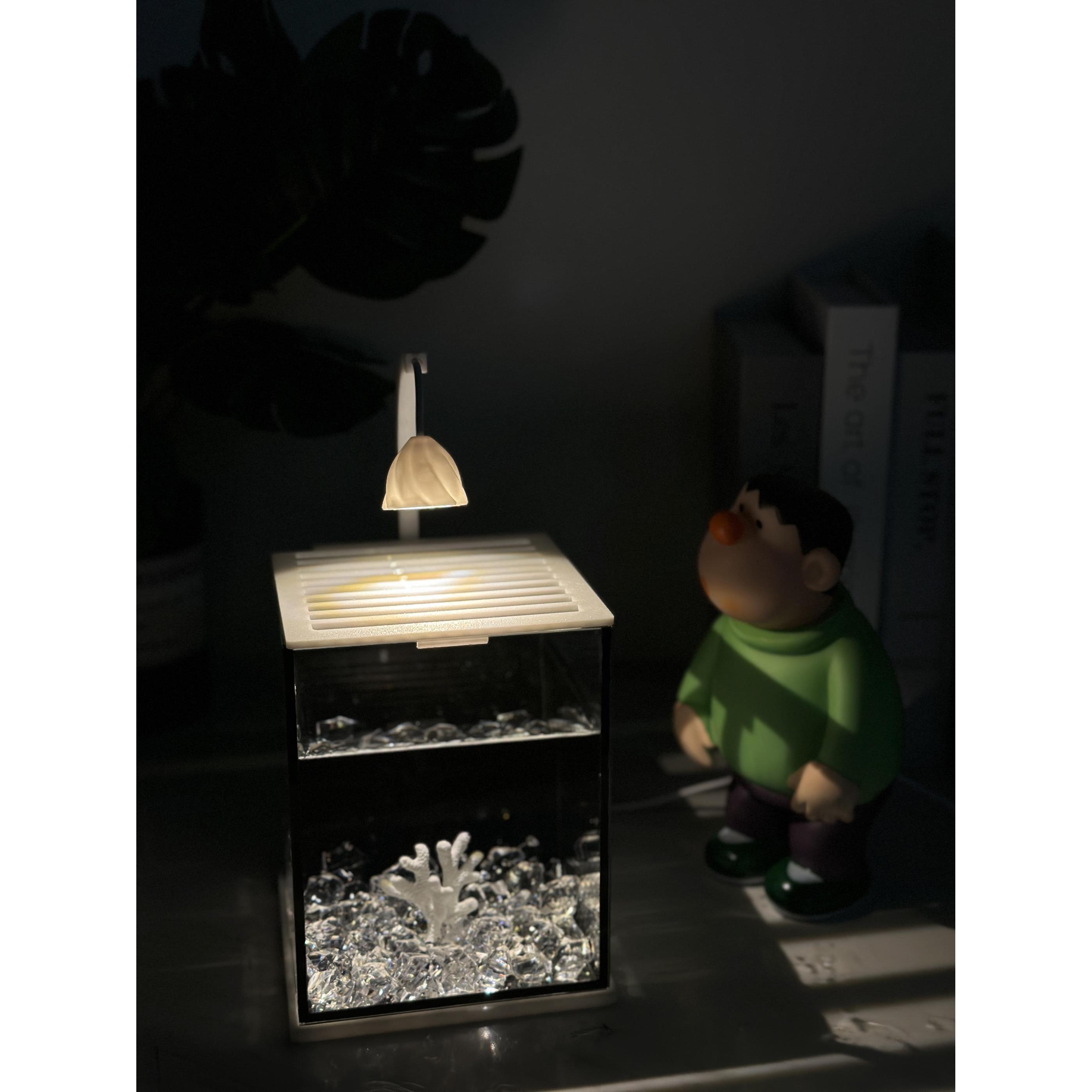 斗鱼海星专适用玻璃小型创意造景桌面观赏小夜灯装饰生态养鱼缸