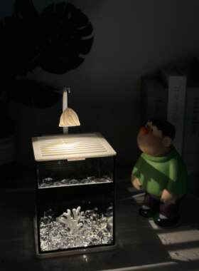 斗鱼海星专适用玻璃小型创意造景桌面观赏小夜灯装饰生态养鱼缸