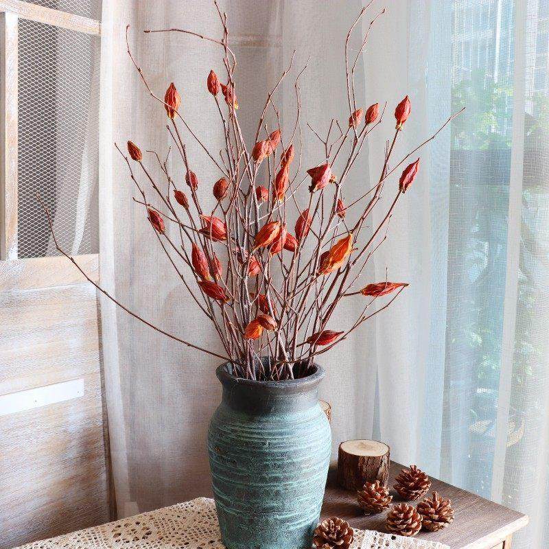 天然风干红栀子果实植物干果实干枝民宿干花插花装饰复古文艺摆件,家居饰品,干花/花瓣/干花包/干树枝,淘宝优惠券,粉丝福利购,淘宝优惠卷