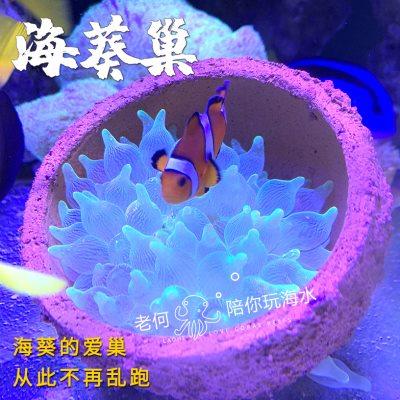 皇海葵巢奶嘴防跑神器窝家杯海葵地毯屋珊瑚罐子鱼缸造景窝家容器