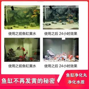 秘密養(yǎng)深水龜魚缸亞硝酸鹽去污丸過濾污水 速發(fā)生活魚缸不在發(fā)黃