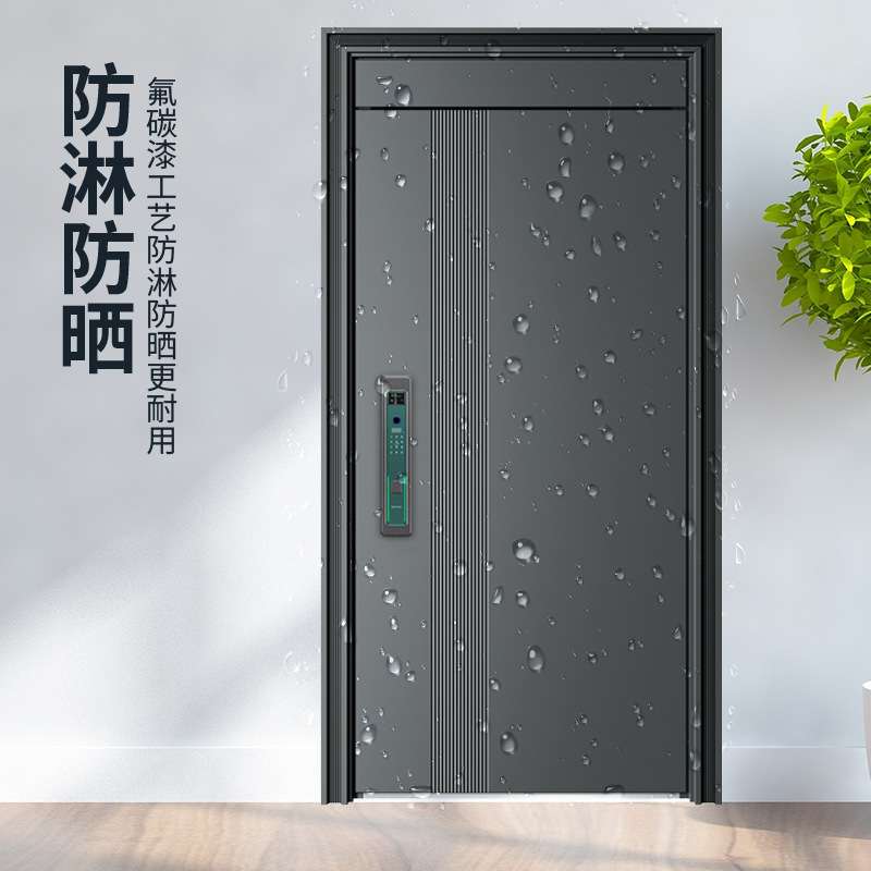 安全防盗门家用进户门入户门子母门平开单门锌合金非标门厂家