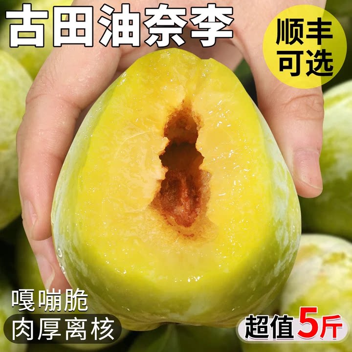 顺丰次日达丨正宗古田油奈李子